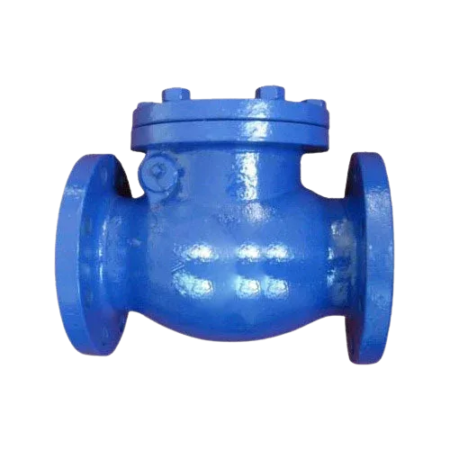 Industrial Check Valve