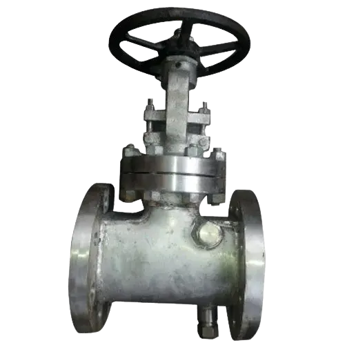 jacketed-gate-valve