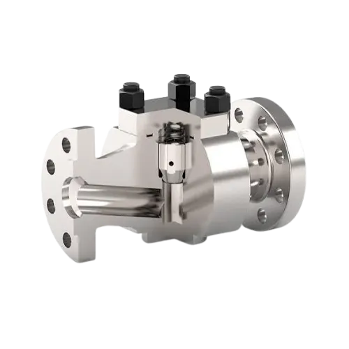 Piston Check Valve