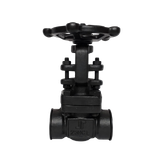 Forged Steel Check Valve