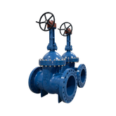 Cast Steel Gate Valve